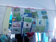 IMG_20180510_171622.jpg